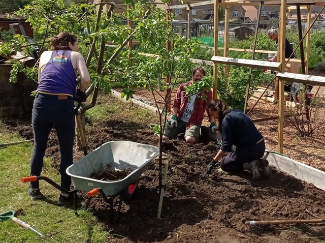Allotment Judi Billing 01