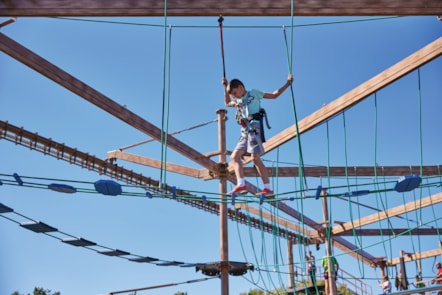 Aerial Adventure at Cleethorpes Beach