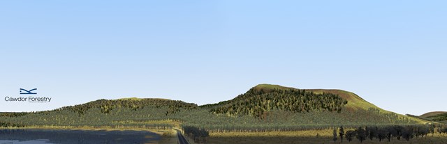 Cambusmore3 A9South PR (002): The view of the new woodlands established, seen here from the view A9 south. Loch Fleet to the left, mound Alderwood to the right, extensive existing woodlands have been included in the view to give context.