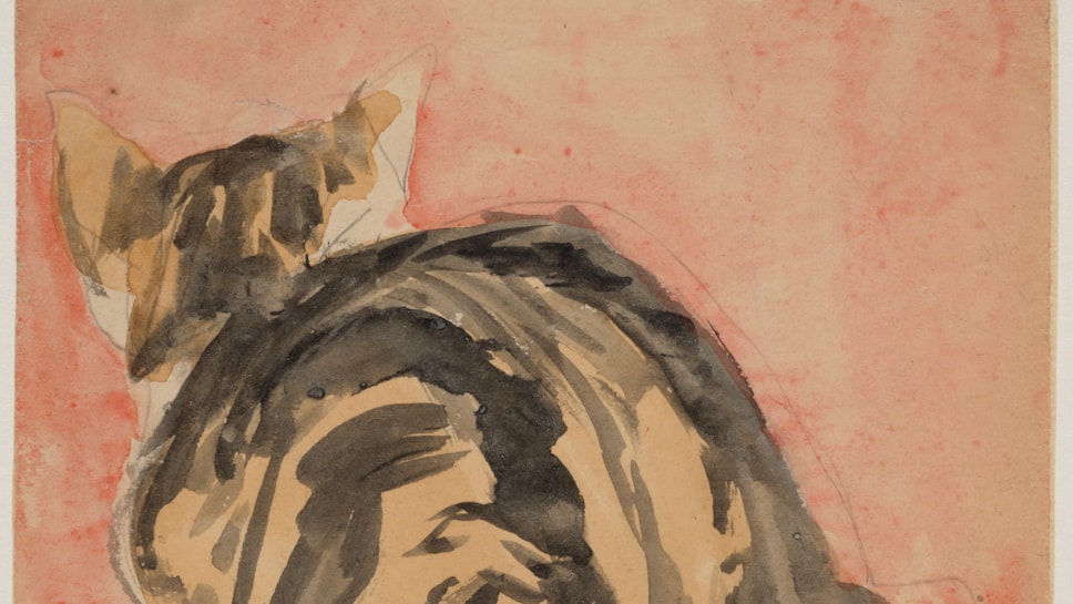Gwaith celf Gwen John, Seated Tortoiseshell Cat, yn dangos tu ôl i gath Tortoiseshell wrth eistedd.
