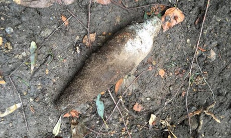 bomb_ww2_unexploded_marcus_fairs-460x276.jpg