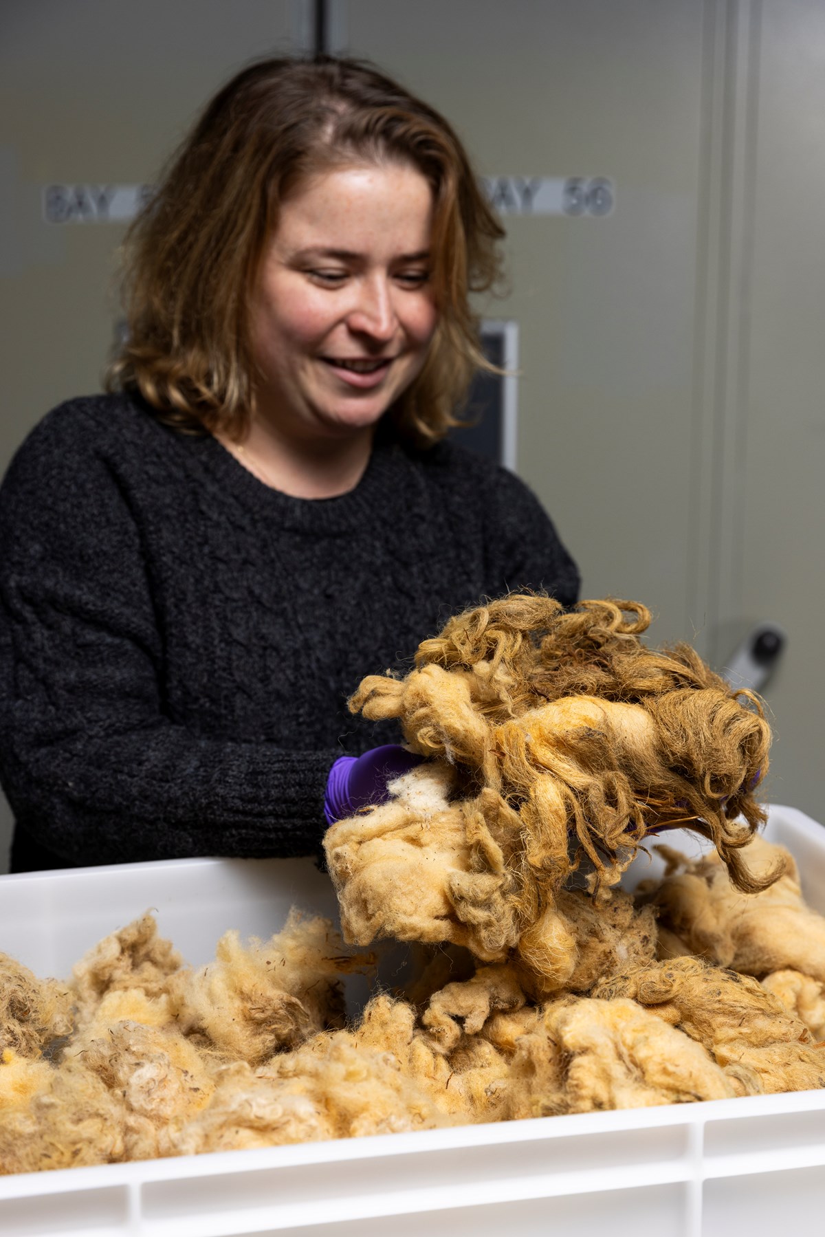 Curator Sophie Goggins with Dolly the Sheep fleece. Photo © Duncan McGlynn (4)