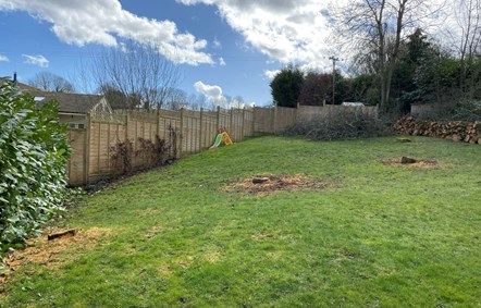 The image shows the remains of three apple trees felled in Blockley. The trees were located within a rear garden, which is situated in the Blockley Conservation Area.