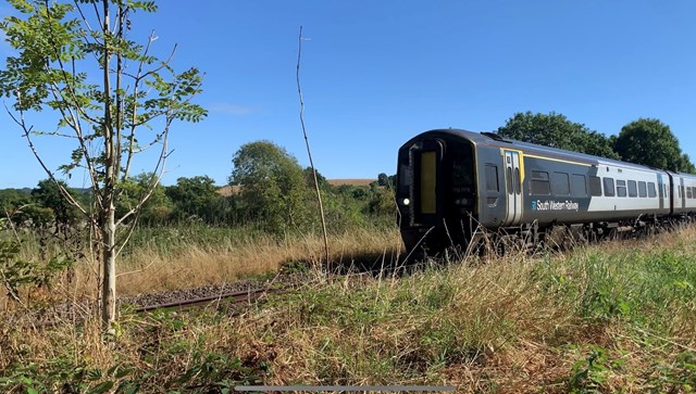 Long, hot summer means major changes to trains on the West of England line in Dorset and Wiltshire as dried-out soil takes its toll on tracks: Gillingham to Tisbury train