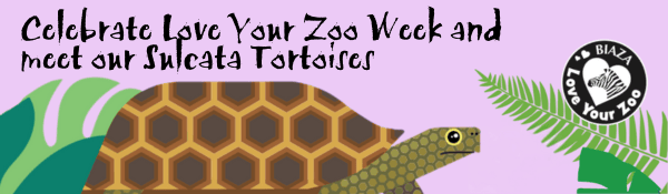 Love Your Zoo Week at Tropical World