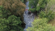 Westcountry Rivers Trust-2: Westcountry Rivers Trust-2