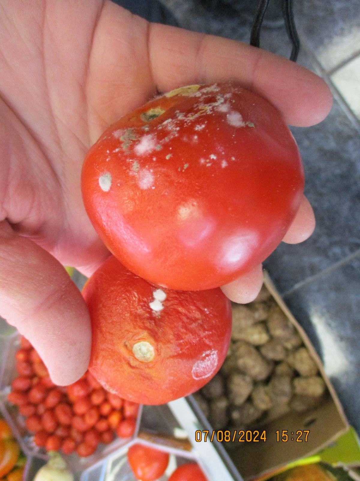 Mouldy vegetables were found on display