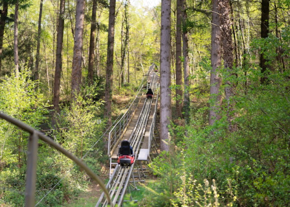 Zip World-2