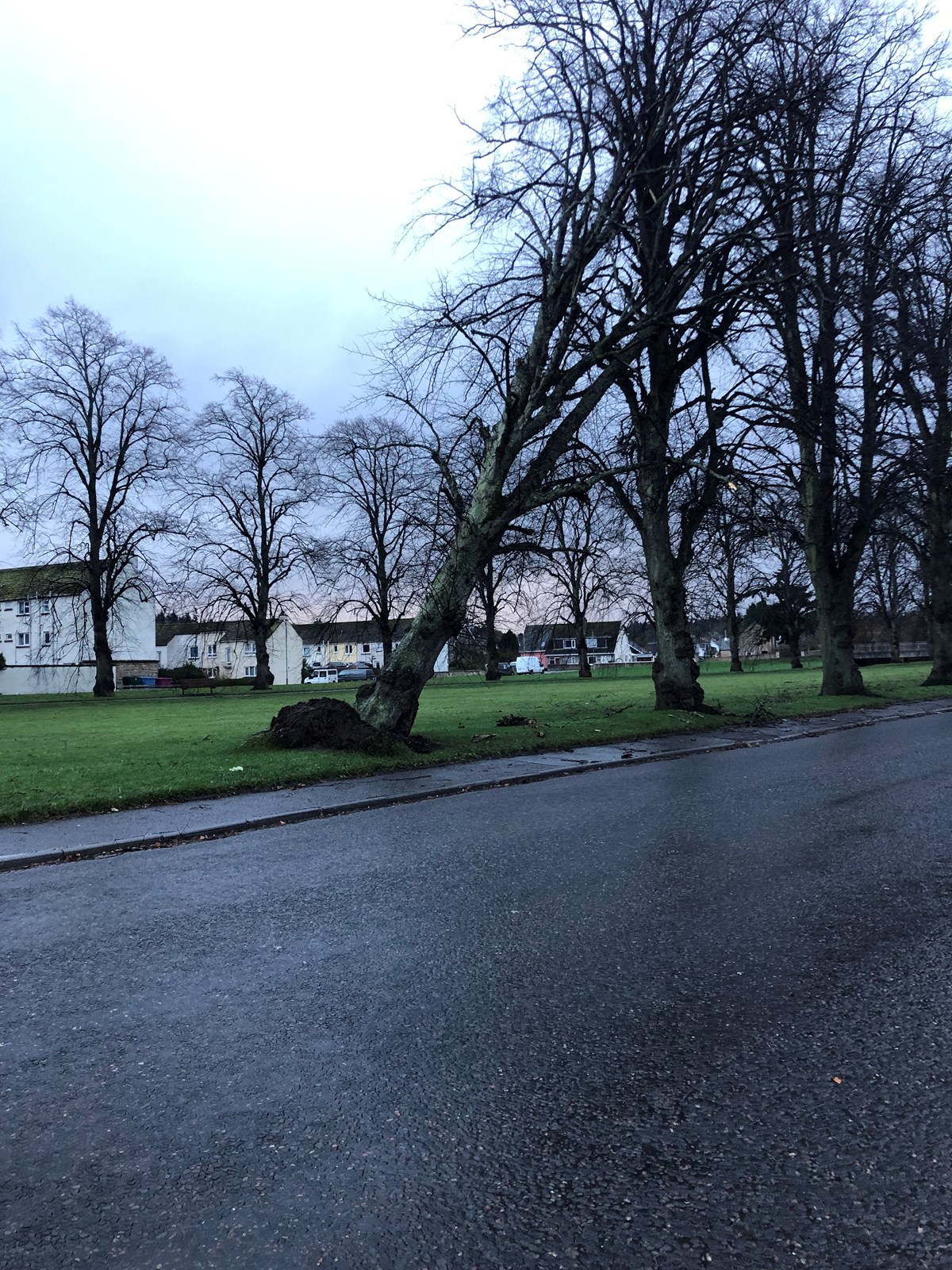 Storm Arwen damage in Forres
