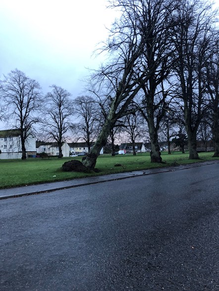 Storm Arwen damage in Forres