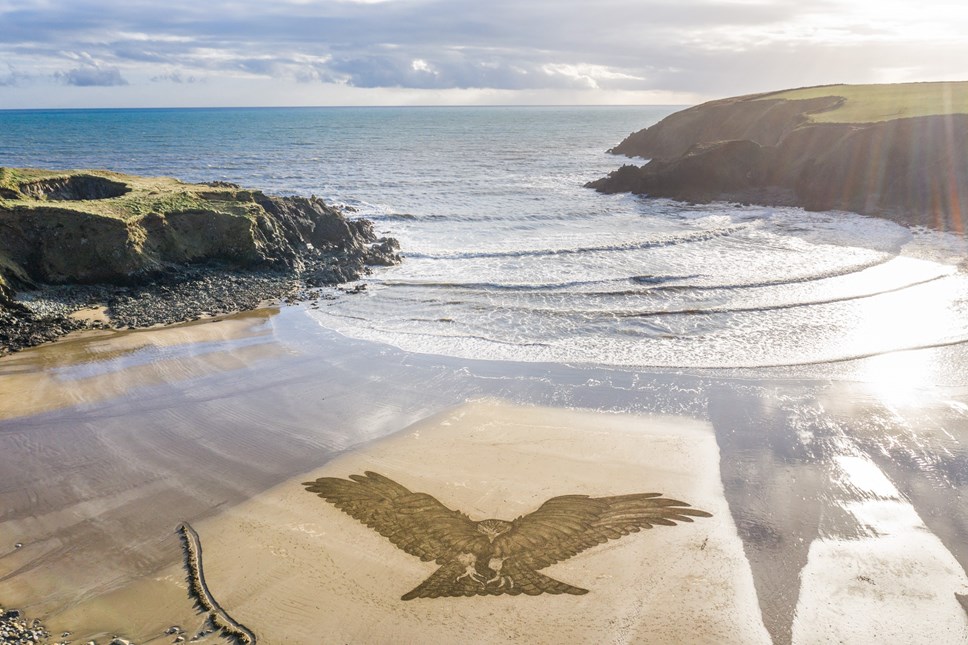 Sand Art - Co Waterford
