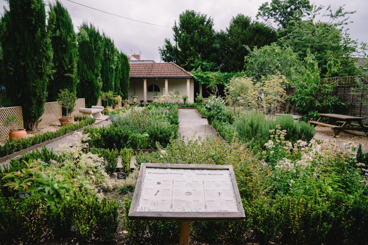 The garden at the National Roman Legion Museum in Caerleon.