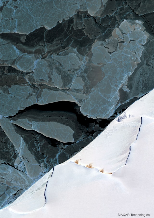 Halley Bay emperor penguin colony. Satellite image ©2025 Maxar Technologies.