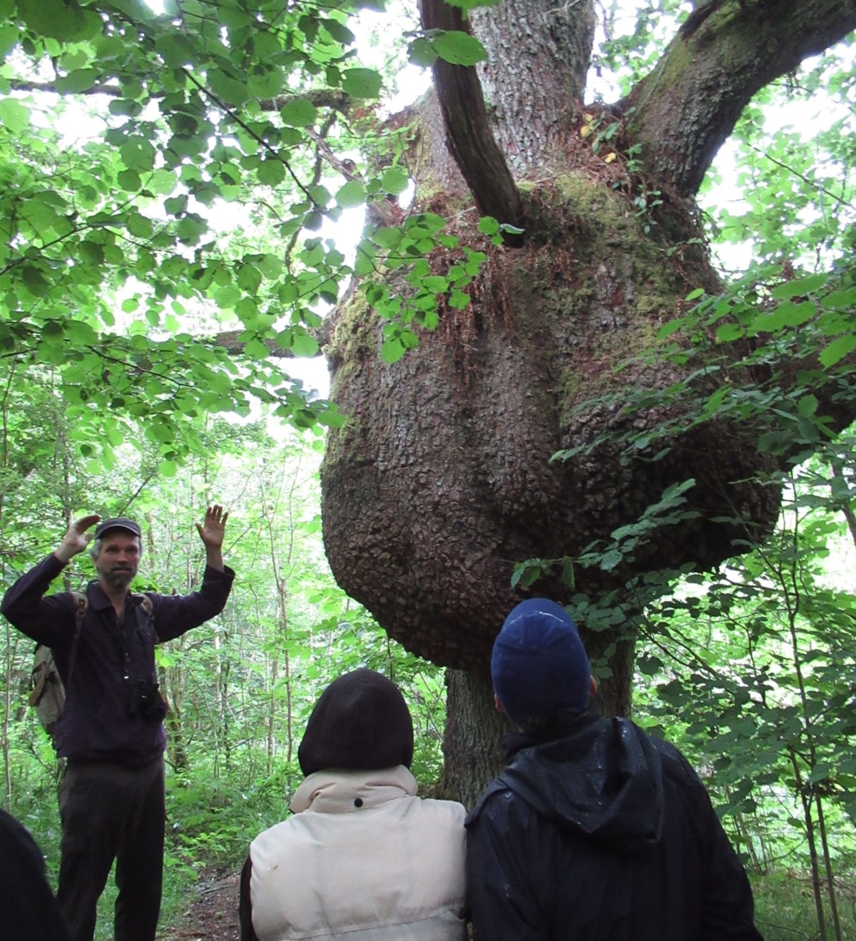 Biosphere tree planting-3