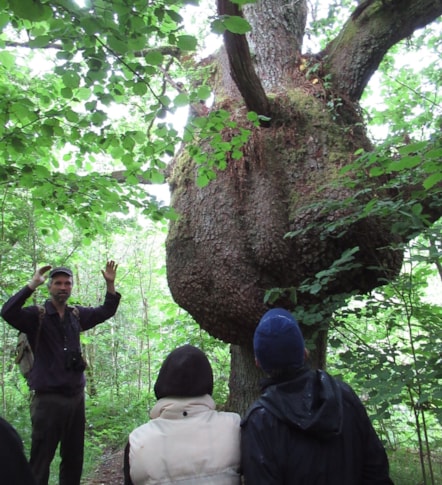 Biosphere tree planting-3