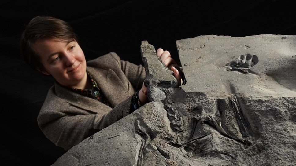 University of Edinburgh PhD student Natalia Jagielska with the Jurassic Pterosaur fossil, Dearc sgiathanach. Photo © Stewart Attwood. WEB