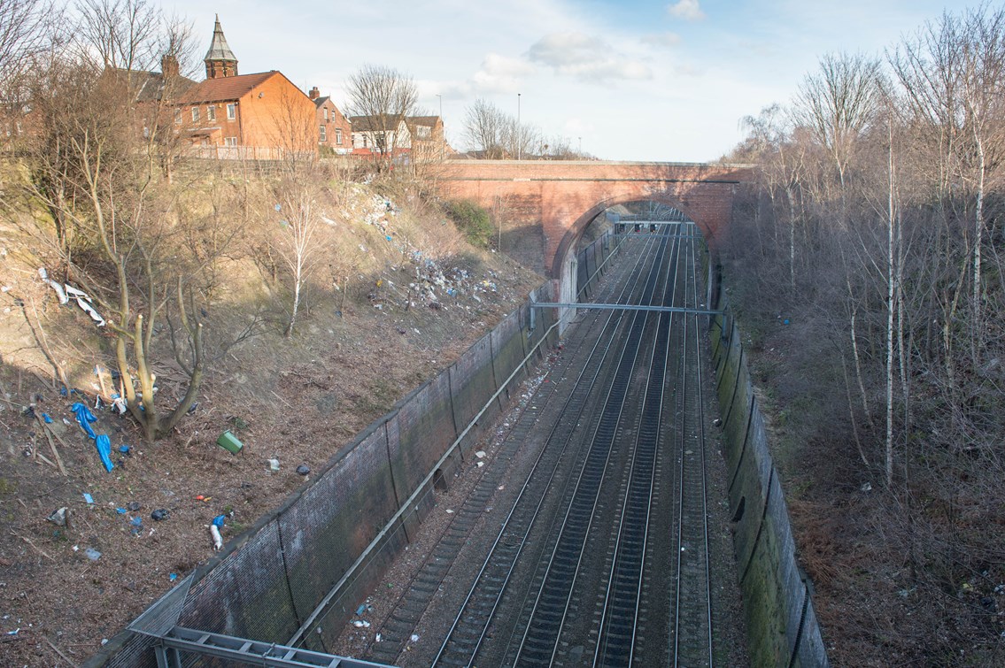 Network Rail to carry out major clean up of railway in Richmond Hill: Network Rail to clean up railway in Richmond Hill-2