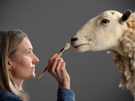 Curator Zena Timmons prepares Morag for display. Photo © National Museums Scotland (1)