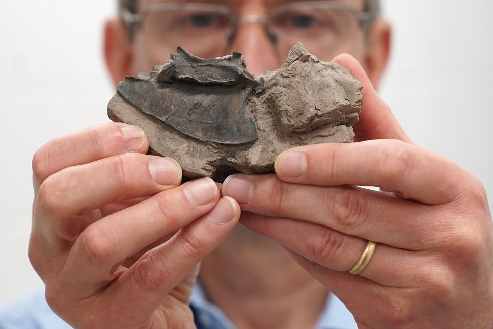 Principal Curator of Vertebrates Dr Andrew Kitchener with a specimen from the Eocene birds collection of National Museums Scotland. Photo © Stewart Attwood