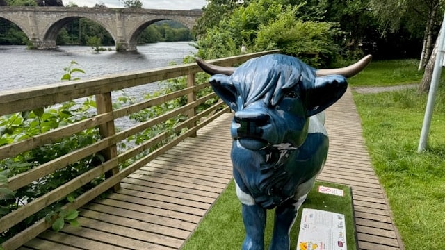 Explore the Hairy Highland Coo Trail: Motability Operations supports CHAS by sponsoring ‘Coo’ sculpture: Motability Operations Hairy Highland Coo