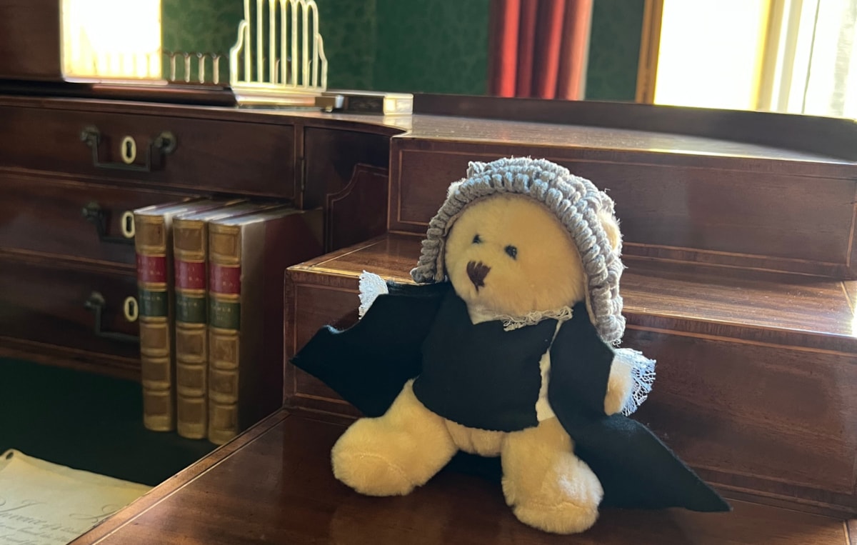 little judge bear