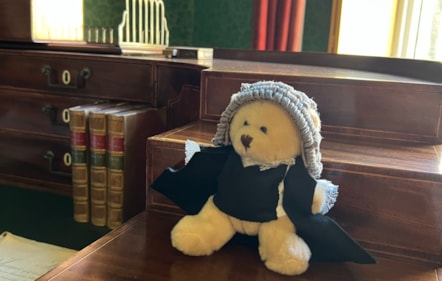 little judge bear