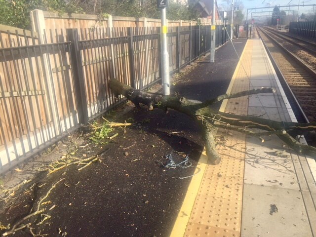 21 02 IMAGE Tree felling Roby station 3