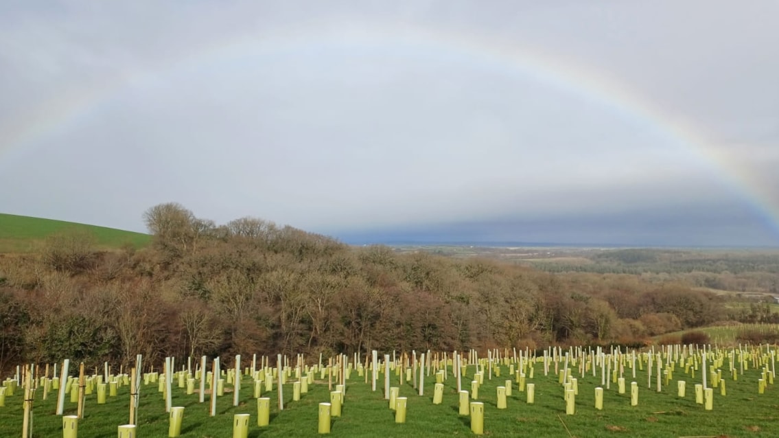 Okehampton rainbow