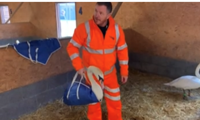 Network Rail staff receive some cygnet-ure training after an influx of swans to the railway: Swan training picture