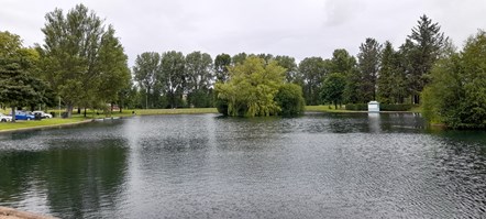 Cooper park pond 2
