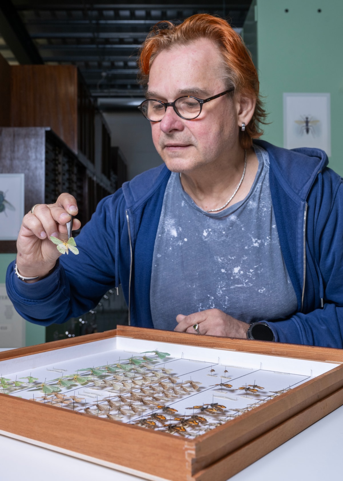 Dr Vladimir Blagoderov, Principal Curator of Invertebrates at National Museums Scotland examines moths which will be digitised as part of the DiSSCo UK project. Image copyright Neil Hanna (5)