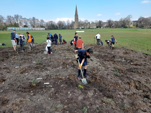 Queen's Park Wee Forest Planting Day 4 - 25 Mar 22 - photo credit NatureScot