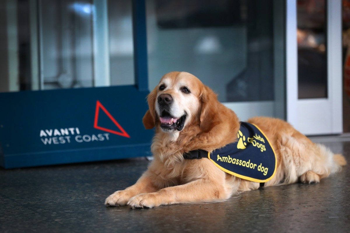 Avanti West Coast welcomed Guide Dogs to their stations to raise awareness of the charity's work