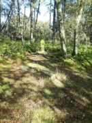 Pic 4 - Tim Stead's grave at Wooplaw: Pic 4 - Tim Stead's grave at Wooplaw
