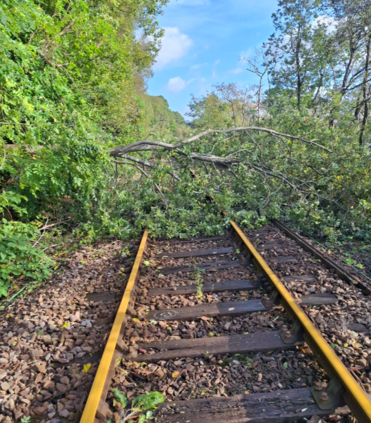 Storm Amy 5: Storm Amy 5