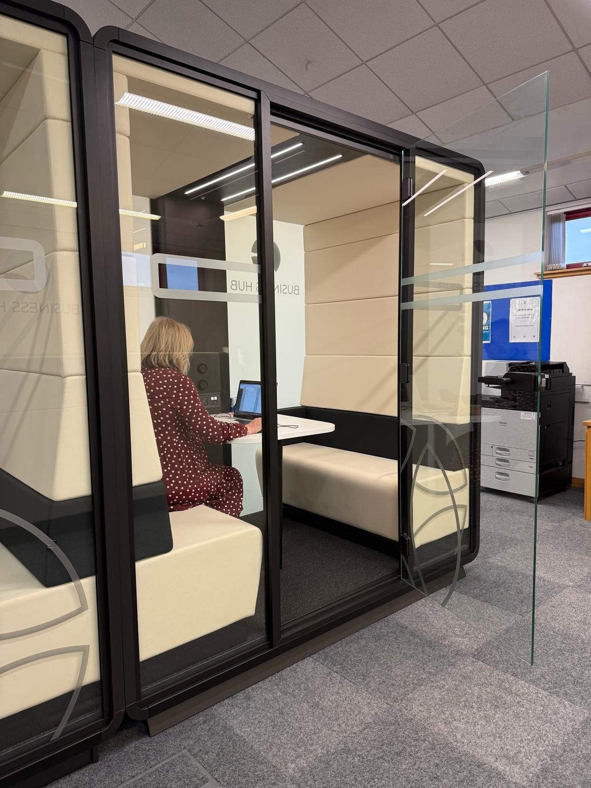 Business Hub at Elgin Library - work pod in use