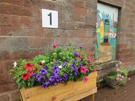 This image shows new flowers at Dalston