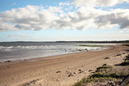 Beach at Seton Sands