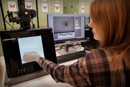 DiSSCo first specimen hoverfly digitisation with curator Ashleigh Whiffin  at the National Museums Collection Centre credit Stewart Attwood