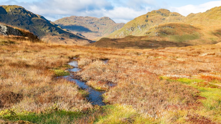 NatureScot launches consultation for Scotland’s peatlands