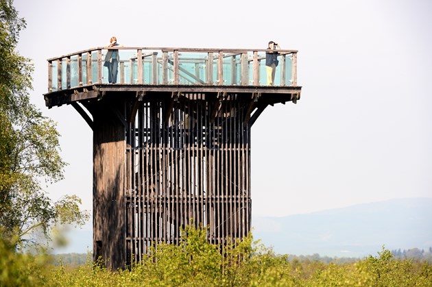 More people flock to Central Belt national nature reserves in 2020: The Viewing Tower at Flanders Moss National Nature Reserve. ©Lorne Gill-NatureScot