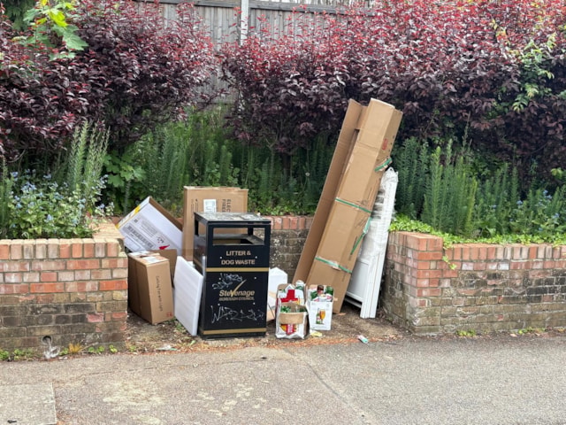 Fly tipping Torquay Crescent (002)-3