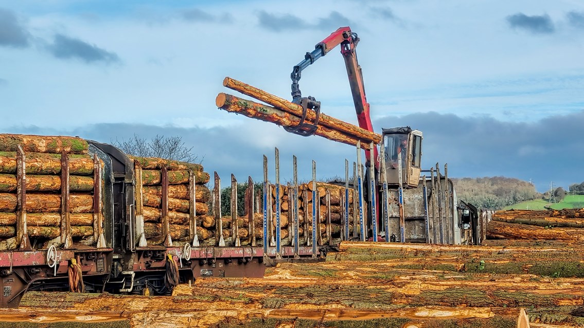 Timber loading at Hackney Yard