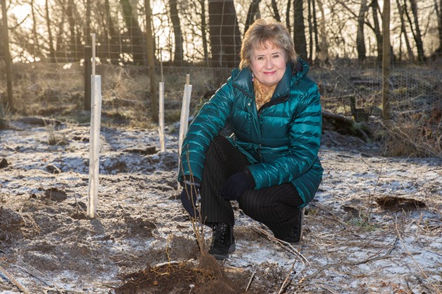 New flagship fund for nature launched: DMC CUNNINGHAM PLANTING 07
