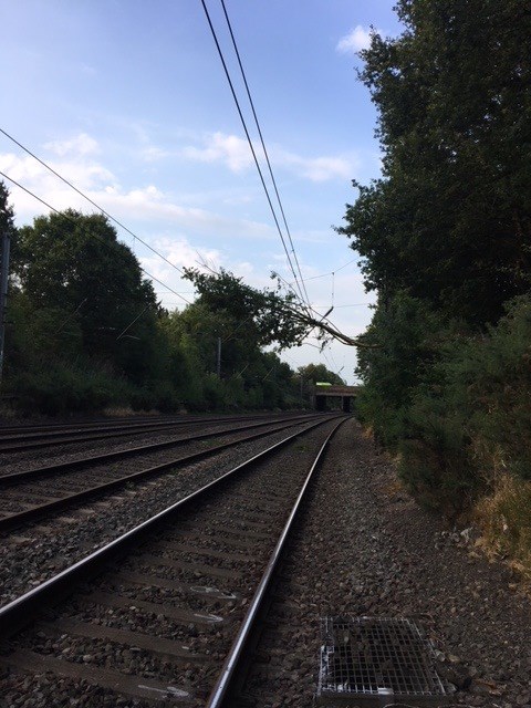 Thameslink passengers disrupted by tree falling onto overhead lines: Tree on powerlines St Albans 200718