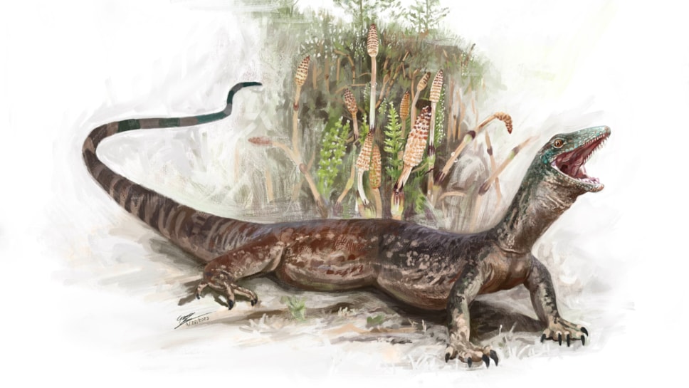 Breugnathair elgolensis artist reconstruction. Image © Brennan Stokkermans
