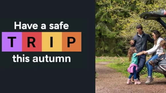 Millions of drivers have missed their vehicle's MOT, National Highways research reveals: Autumn TRIP image-4