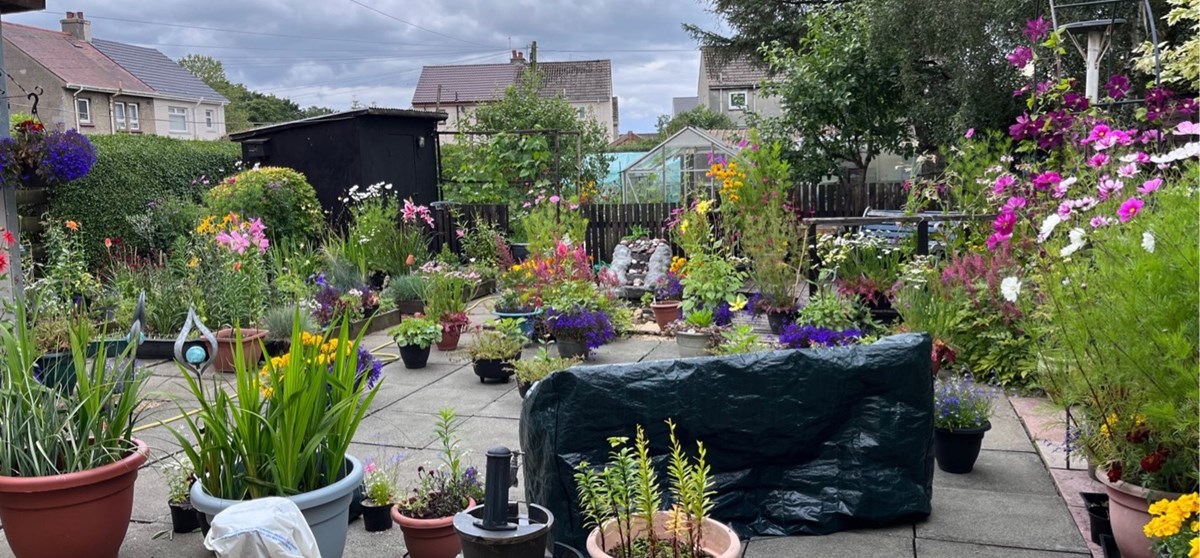 Best Council garden in East Ayrshire