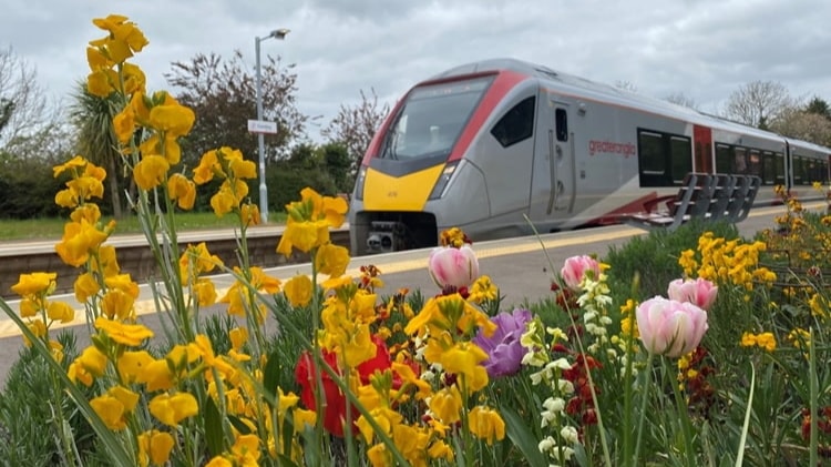 Relax and travel by train this August bank holiday: Greater Anglia Train Flowers