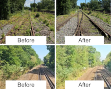 Vegetation reporting
